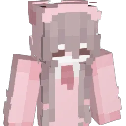 citrin3 Minecraft avatar bust