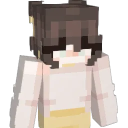 citylimits256 Minecraft avatar bust