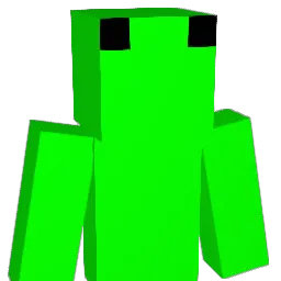 cj_2203 Minecraft avatar bust