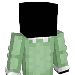 cjr69420 Minecraft avatar bust