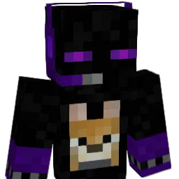 claycats_G4M3R Minecraft avatar bust