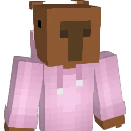 cloudybara Minecraft avatar bust