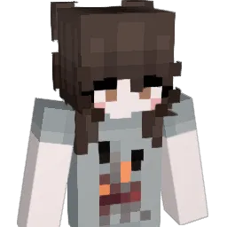 clw1010 Minecraft avatar bust