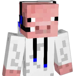 cmandoesmc007 Minecraft avatar bust