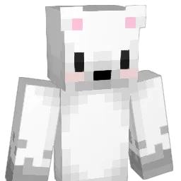 cms0509's Minecraft skin