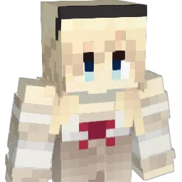 cmtse_ Minecraft avatar bust
