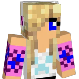 cngo3 Minecraft avatar bust