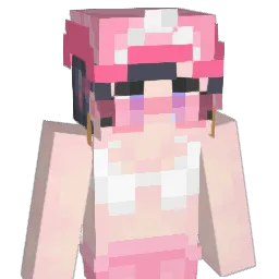 cnsa_o8o7 Minecraft avatar bust