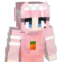 cocococat Minecraft avatar bust