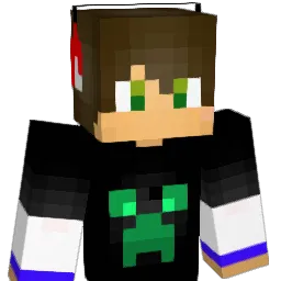 cocolanoix85 Minecraft avatar bust