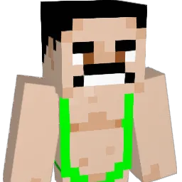 cocosabio97 Minecraft avatar bust