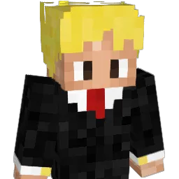codename224 Minecraft avatar bust