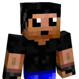 codisc Minecraft avatar bust