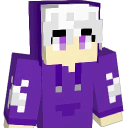 codns72 Minecraft avatar bust