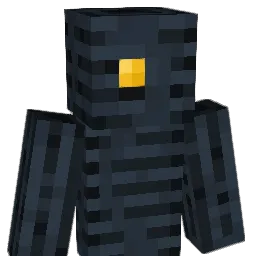 coin____
