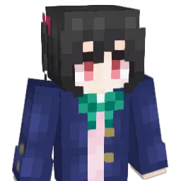coinc1234 Minecraft avatar bust