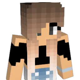 coink_812 Minecraft avatar bust