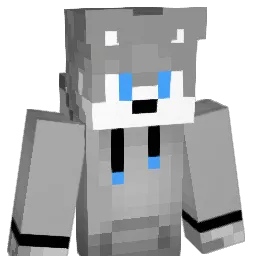 coiotul Minecraft avatar bust