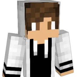 col02bros Minecraft avatar bust