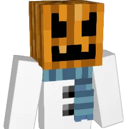cold35 Minecraft avatar bust