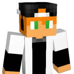 cole511's Minecraft skin