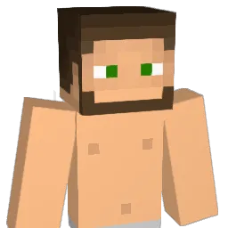 collinharris Minecraft avatar bust