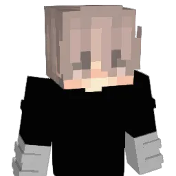 collinkendall06 Minecraft avatar bust