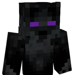 combayxyz Minecraft avatar bust