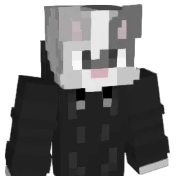 comdotlinux's Minecraft skin