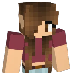 comet770 Minecraft avatar bust
