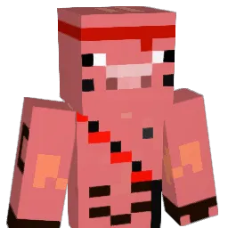 commando8797's Minecraft skin