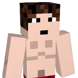 comzander Minecraft avatar bust