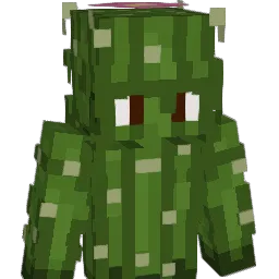 confettye Minecraft avatar bust