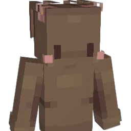confusedoll