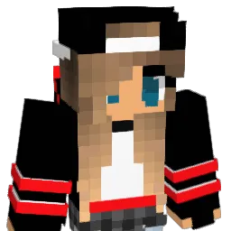 contra26 Minecraft avatar bust