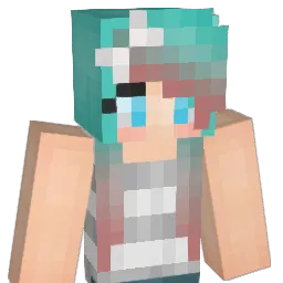 converse222 Minecraft avatar bust