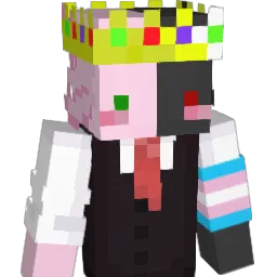 conyDJ2462 Minecraft avatar bust