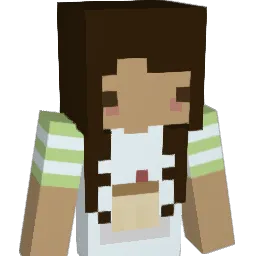 cookieloves311 Minecraft avatar bust