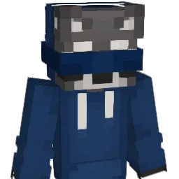 coolBrew6 Minecraft avatar bust