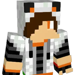 coolbuilder60 Minecraft avatar bust