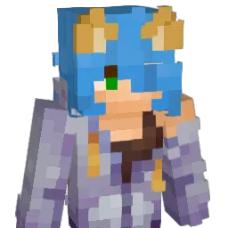 coolcat224422 Minecraft avatar bust
