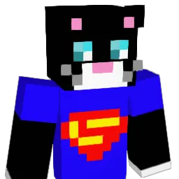 coolcrazycats Minecraft avatar bust