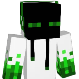 coolguy4555 Minecraft avatar bust