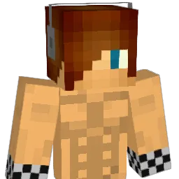 coolguy6000 Minecraft avatar bust
