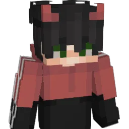 coolguy9117 Minecraft avatar bust
