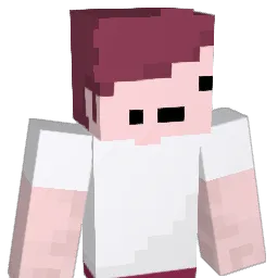coolguyinator Minecraft avatar bust