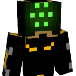 coolim9 Minecraft avatar bust