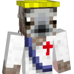 coolman3336 Minecraft avatar bust