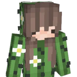 coolmoneyswag Minecraft avatar bust