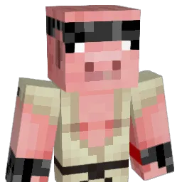 coolninja2122 Minecraft avatar bust